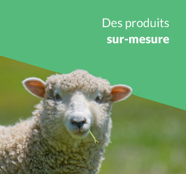 From-inox materiel de fromagerie sur mesure